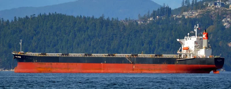 LONG SHAN HU Bulk Carrier IMO 9238507 photo 6