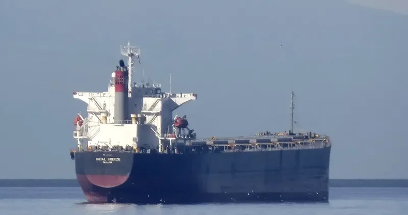 LONG SHAN HU Bulk Carrier IMO 9238507 photo 7