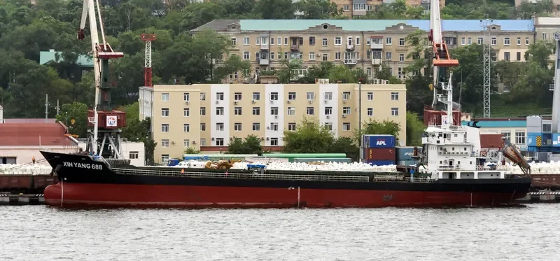 LONG SHAN HU Bulk Carrier IMO 9238507 photo 8