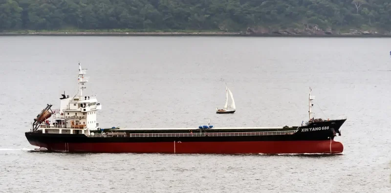 LONG SHAN HU Bulk Carrier IMO 9238507 photo 9