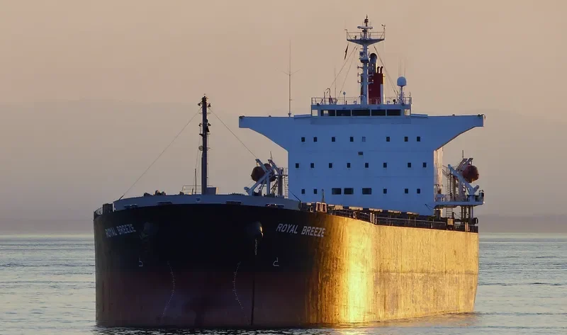 LONG SHAN HU Bulk Carrier IMO 9238507 photo 10