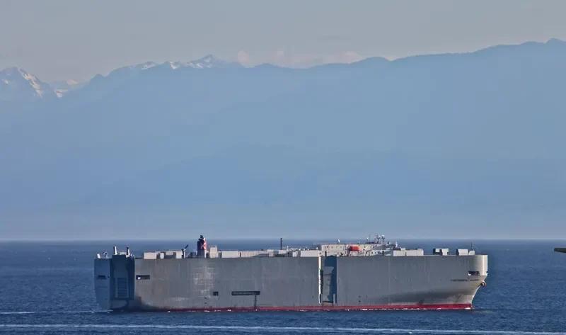 CONTINENTAL HIGHWAY General Cargo IMO 9238519 photo 9