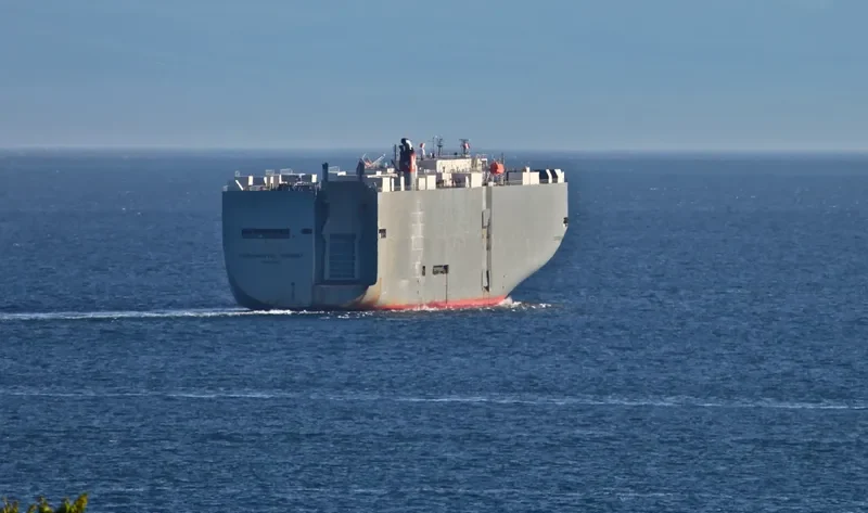 CONTINENTAL HIGHWAY General Cargo IMO 9238519 photo 10