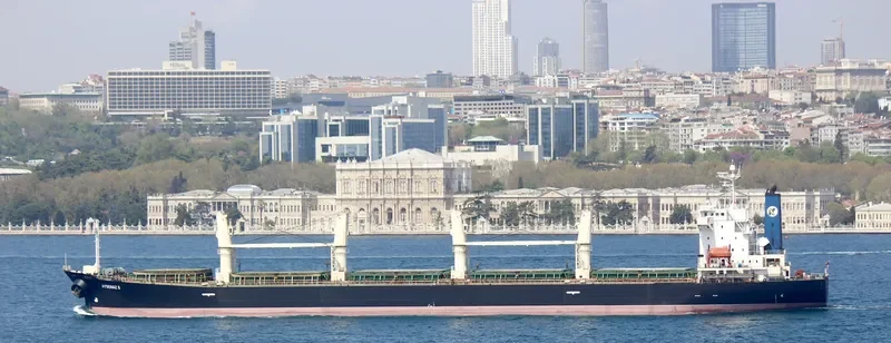 PORTLAND III Bulk Carrier IMO 9238545 photo 2