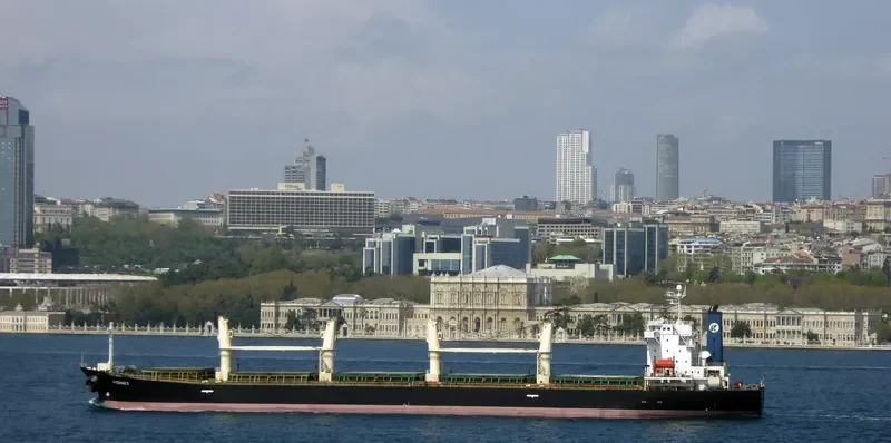 PORTLAND III Bulk Carrier IMO 9238545 photo 3