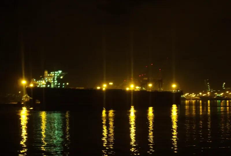 CAPE ORCHID Bulk Carrier IMO 9238571 photo 4