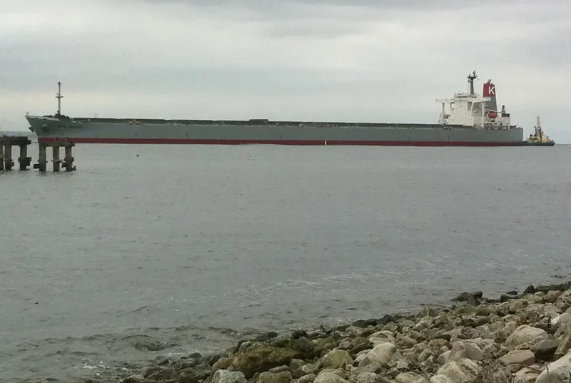 CAPE ORCHID Bulk Carrier IMO 9238571 photo 5