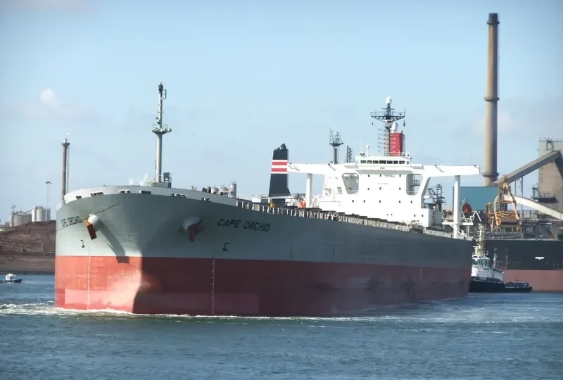 CAPE ORCHID Bulk Carrier IMO 9238571 photo 6