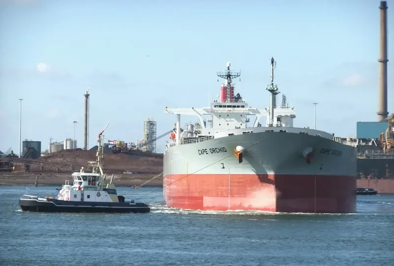 CAPE ORCHID Bulk Carrier IMO 9238571 photo 7