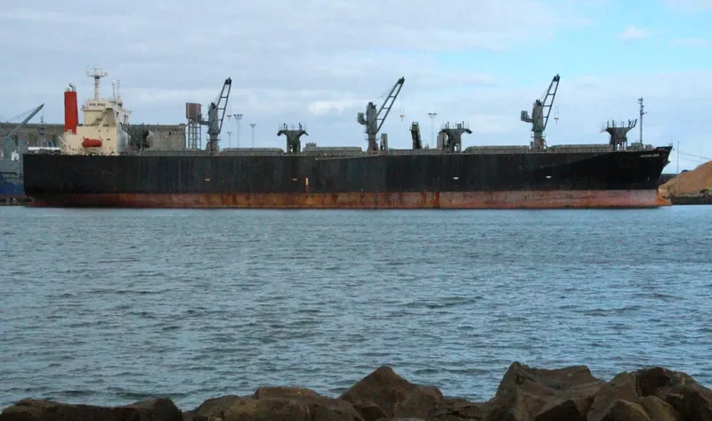 UNIVERSAL GREEN Bulk Carrier IMO 9238583 photo 9