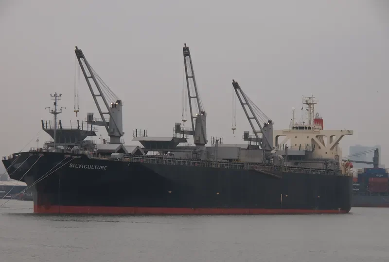 RIZHAO EXPRESS Bulk Carrier IMO 9238595 photo 3
