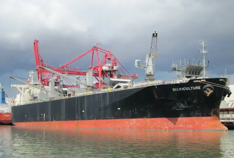 RIZHAO EXPRESS Bulk Carrier IMO 9238595 photo 9