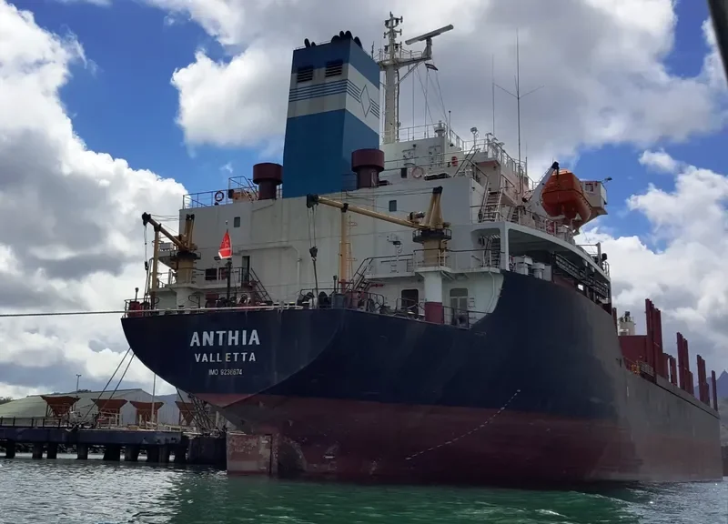 ANTHIA Bulk Carrier IMO 9238674 photo 2