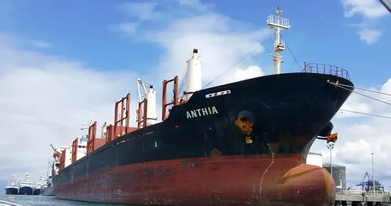 ANTHIA Bulk Carrier IMO 9238674 photo 3