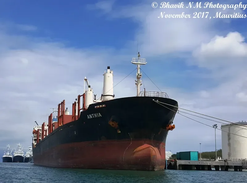 ANTHIA Bulk Carrier IMO 9238674 photo 4