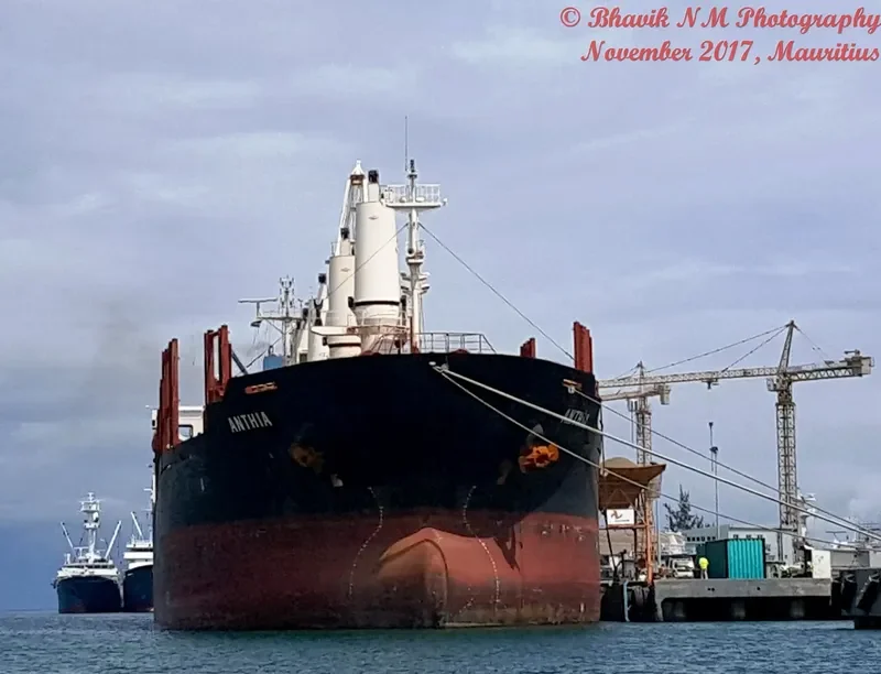 ANTHIA Bulk Carrier IMO 9238674 photo 5