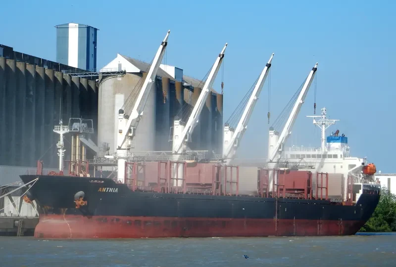 ANTHIA Bulk Carrier IMO 9238674 photo 8
