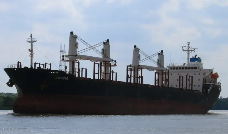 ANTHIA Bulk Carrier IMO 9238674 photo 10