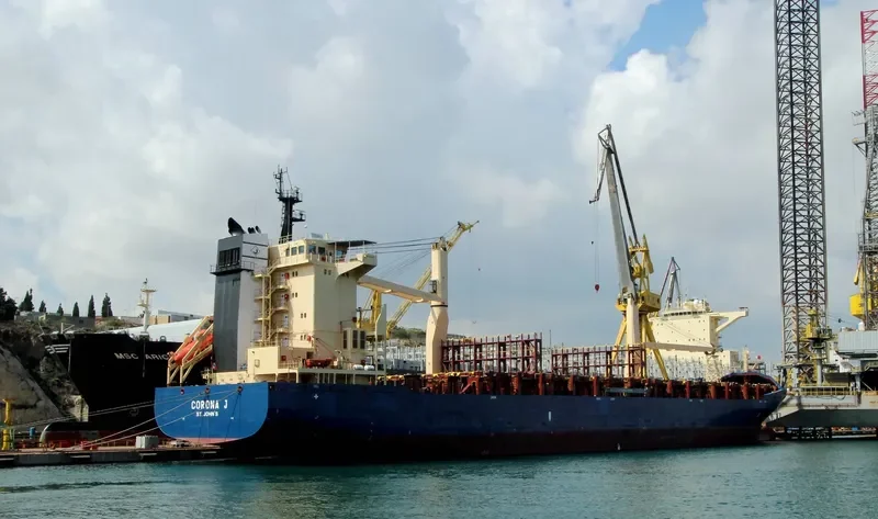 CORONA J Container Ship IMO 9238686 photo 2