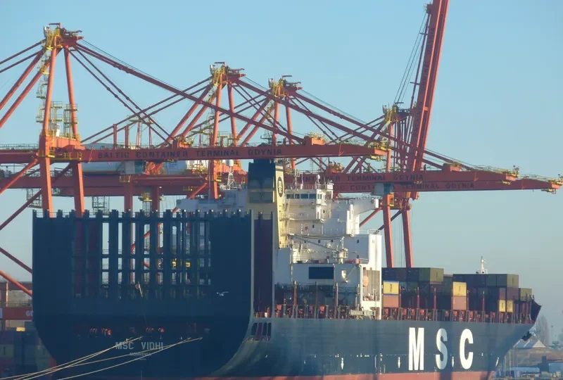 MSC VIDHI Container Ship IMO 9238739