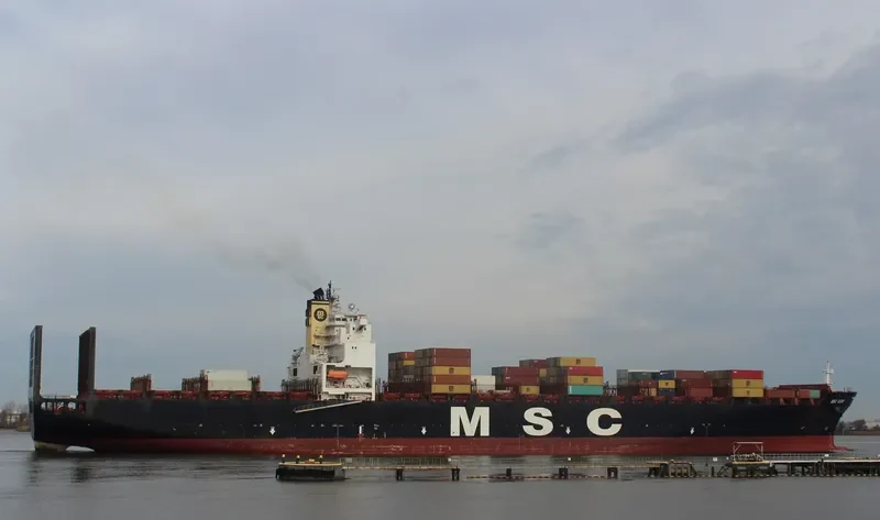 MSC VIDHI Container Ship IMO 9238739 photo 4