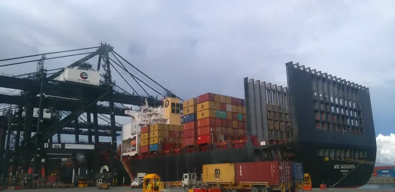 MSC MARGARITA Container Ship IMO 9238741