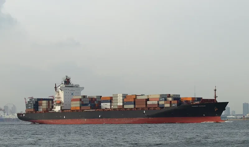 TEMA EXPRESS Container Ship IMO 9238765 photo 10