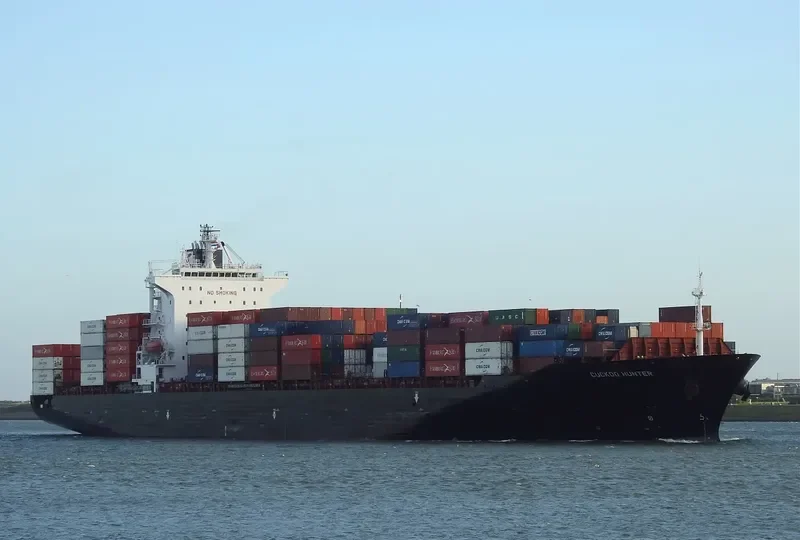 MSC MANU Container Ship IMO 9238789