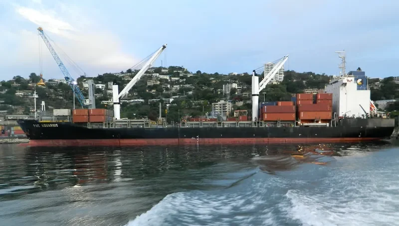 ALION Container Ship IMO 9238882 photo 3