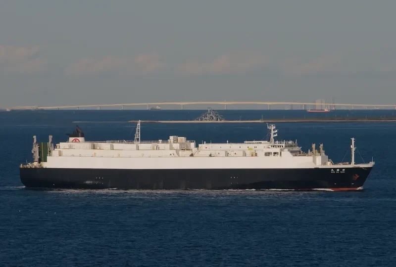 ZUI General Cargo IMO 9238935 photo 7