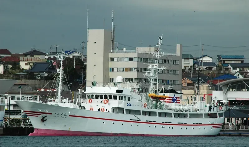 RIASU MARU General Cargo IMO 9238947 photo 6