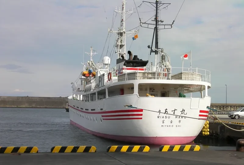 RIASU MARU General Cargo IMO 9238947 photo 10