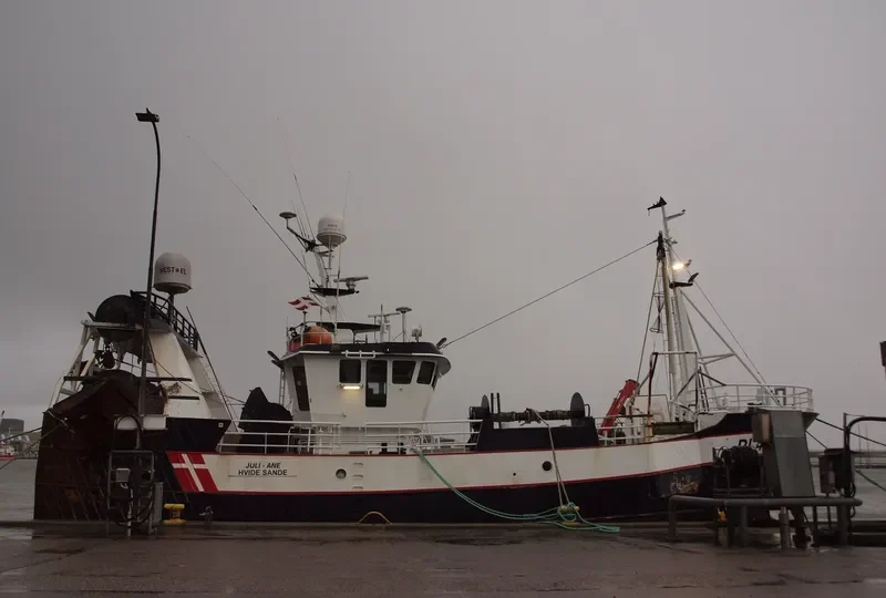 JULI ANE General Cargo IMO 9239056 photo 4