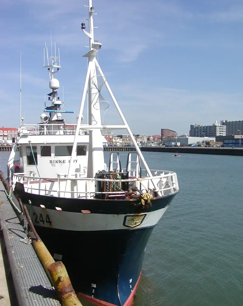 RIKKE HOY General Cargo IMO 9239068 photo 7