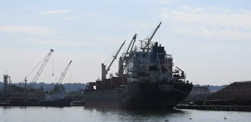SIBERIA Bulk Carrier IMO 9239458