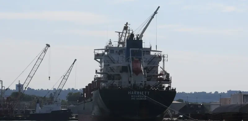 SIBERIA Bulk Carrier IMO 9239458 photo 2