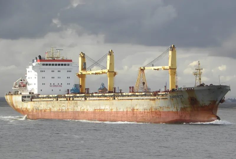 SIBERIA Bulk Carrier IMO 9239458 photo 5