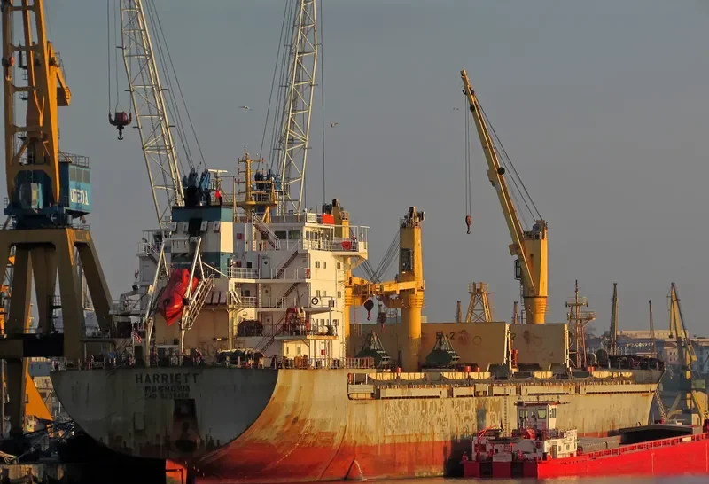 SIBERIA Bulk Carrier IMO 9239458 photo 8