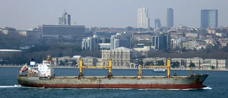 SIBERIA Bulk Carrier IMO 9239458 photo 9