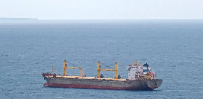 SIBERIA Bulk Carrier IMO 9239458 photo 10