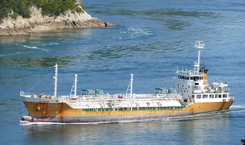 IZUMI MARU General Cargo IMO 9239680 photo 2