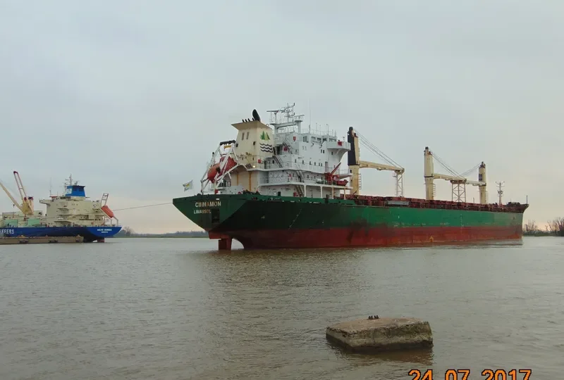 CINNAMON Bulk Carrier IMO 9239800