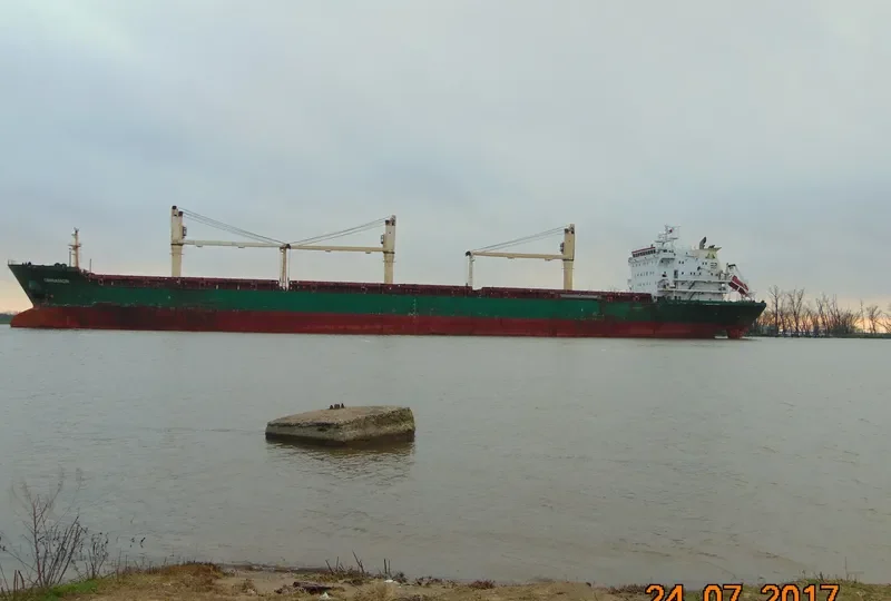 CINNAMON Bulk Carrier IMO 9239800 photo 2