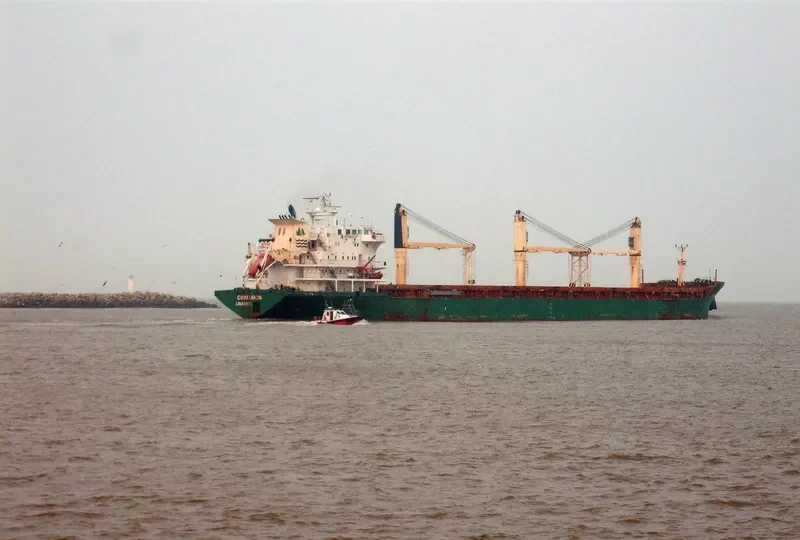 CINNAMON Bulk Carrier IMO 9239800 photo 3