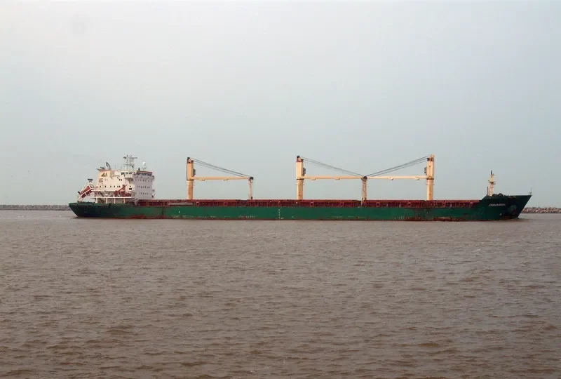 CINNAMON Bulk Carrier IMO 9239800 photo 5