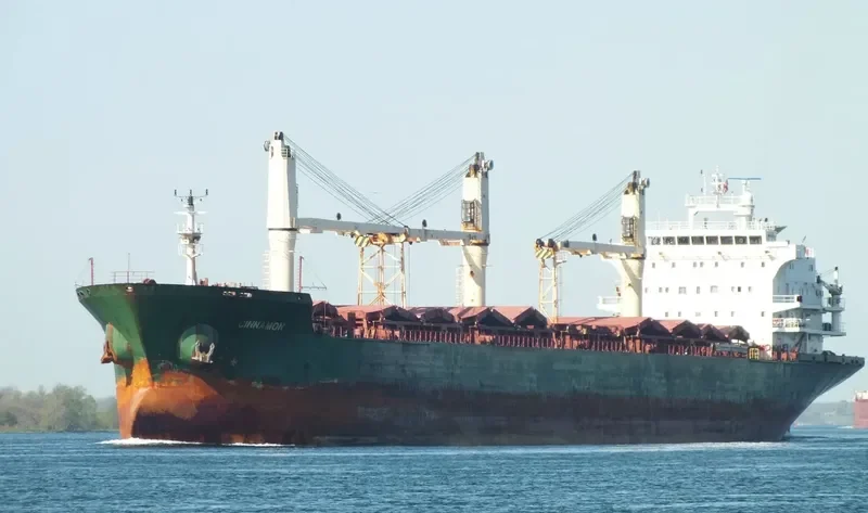 CINNAMON Bulk Carrier IMO 9239800 photo 6