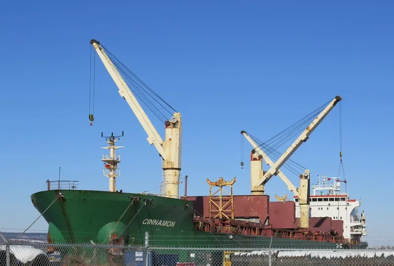 CINNAMON Bulk Carrier IMO 9239800 photo 8