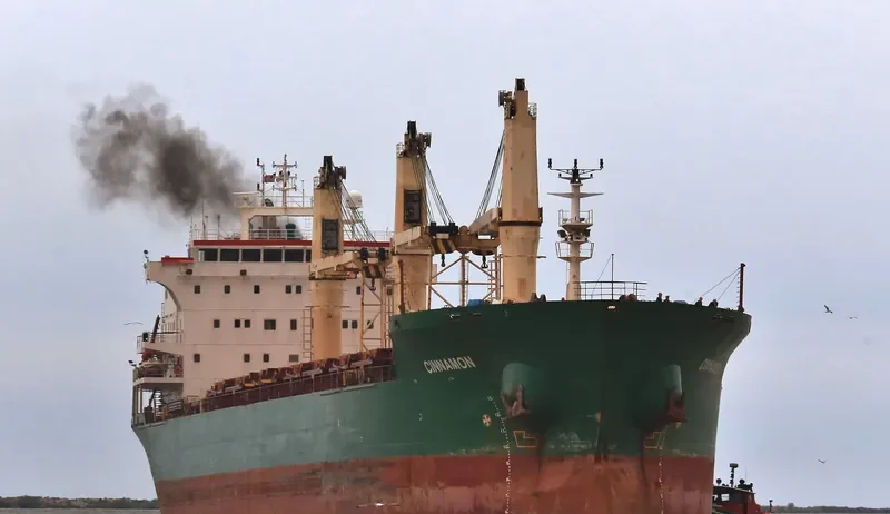 CINNAMON Bulk Carrier IMO 9239800 photo 9