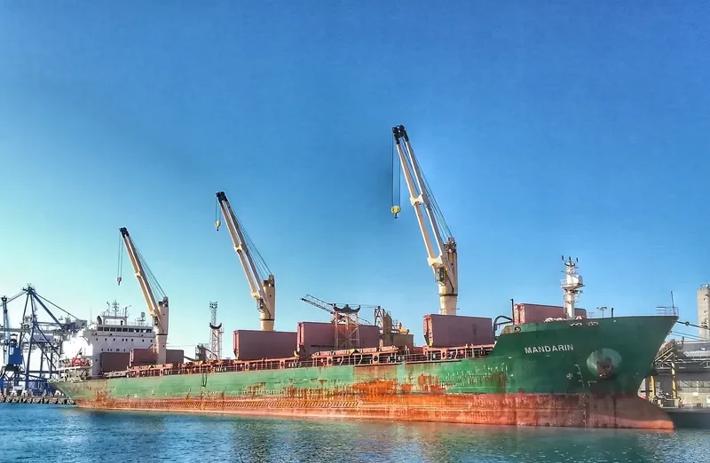 MANDARIN Bulk Carrier IMO 9239812