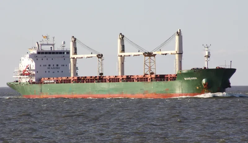 MANDARIN Bulk Carrier IMO 9239812 photo 2